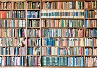 Bookshelf filled with colorful books